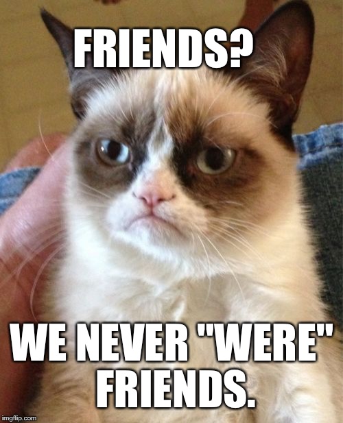 Grumpy Cat Meme | FRIENDS? WE NEVER "WERE" FRIENDS. | image tagged in memes,grumpy cat | made w/ Imgflip meme maker