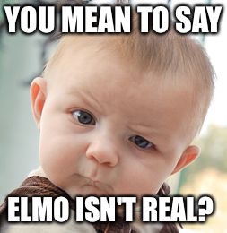 Skeptical baby | YOU MEAN TO SAY; ELMO ISN'T REAL? | image tagged in memes,skeptical baby | made w/ Imgflip meme maker