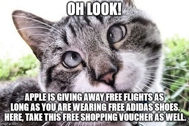 Stoopid Kitty | OH LOOK! APPLE IS GIVING AWAY FREE FLIGHTS AS LONG AS YOU ARE WEARING FREE ADIDAS SHOES. HERE, TAKE THIS FREE SHOPPING VOUCHER AS WELL. | image tagged in facebook scam,believe anything on facebook,gulible | made w/ Imgflip meme maker