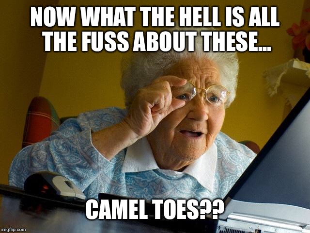 Grandma Finds The Internet Meme | NOW WHAT THE HELL IS ALL THE FUSS ABOUT THESE... CAMEL TOES?? | image tagged in memes,grandma finds the internet | made w/ Imgflip meme maker