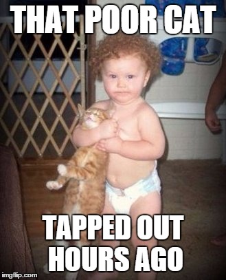That cat tapped out |  THAT POOR CAT; TAPPED OUT HOURS AGO | image tagged in pro wrestling,tapped out | made w/ Imgflip meme maker