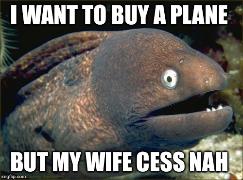 Fine... I'll find another wife that will want to go flying with me  | I WANT TO BUY A PLANE; BUT MY WIFE CESS NAH | image tagged in memes,bad joke eel,aviation | made w/ Imgflip meme maker