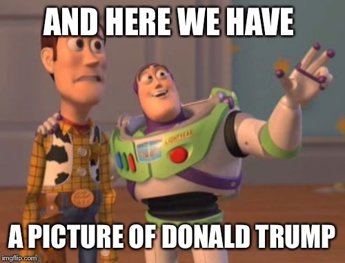 X, X Everywhere | AND HERE WE HAVE; A PICTURE OF DONALD TRUMP | image tagged in memes,x x everywhere | made w/ Imgflip meme maker