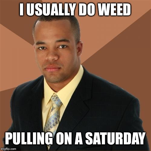 Successful Black Man |  I USUALLY DO WEED; PULLING ON A SATURDAY | image tagged in memes,successful black man,weed,trump gona hate | made w/ Imgflip meme maker
