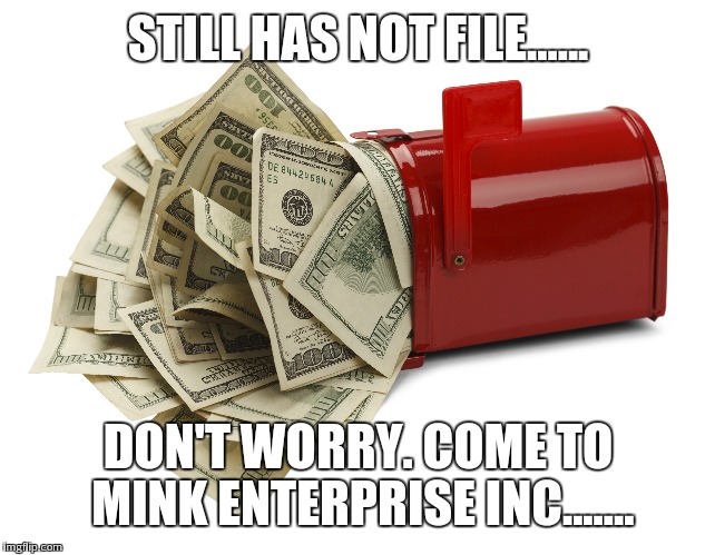 STILL HAS NOT FILE...... DON'T WORRY. COME TO MINK ENTERPRISE INC....... | image tagged in taxes,tax refund | made w/ Imgflip meme maker