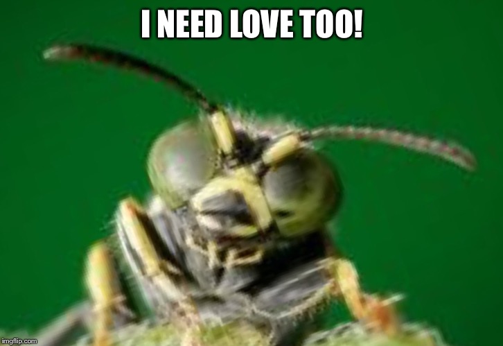 MR GREEN BUG | I NEED LOVE TOO! | image tagged in mr green bug | made w/ Imgflip meme maker