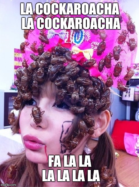 LA COCKAROACHA LA COCKAROACHA FA LA LA LA LA LA LA | made w/ Imgflip meme maker