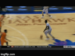 z9v08.gif