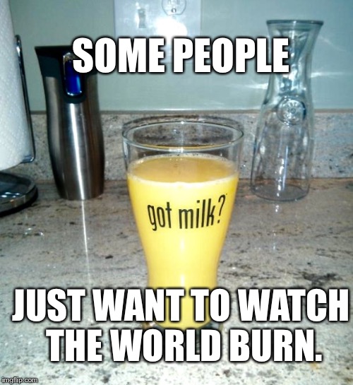 Some people... | SOME PEOPLE; JUST WANT TO WATCH THE WORLD BURN. | image tagged in memes,wtf | made w/ Imgflip meme maker