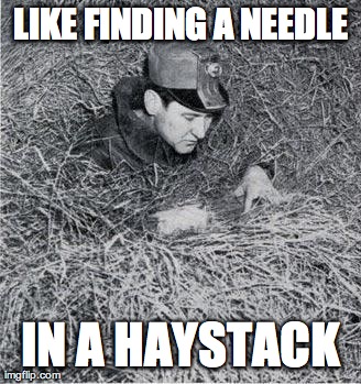 LIKE FINDING A NEEDLE IN A HAYSTACK | image tagged in needle | made w/ Imgflip meme maker