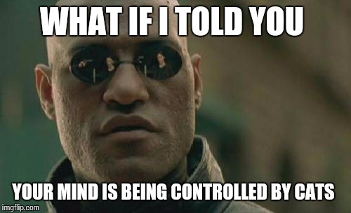 Matrix Morpheus Meme | WHAT IF I TOLD YOU; YOUR MIND IS BEING CONTROLLED BY CATS | image tagged in memes,matrix morpheus | made w/ Imgflip meme maker