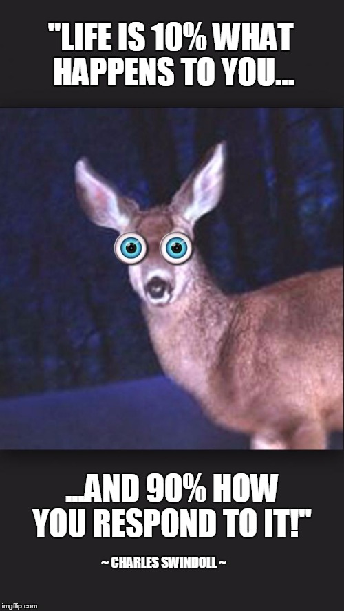 deer in headlights | "LIFE IS 10% WHAT HAPPENS TO YOU... ...AND 90% HOW YOU RESPOND TO IT!"; ~ CHARLES SWINDOLL ~ | image tagged in deer in headlights | made w/ Imgflip meme maker