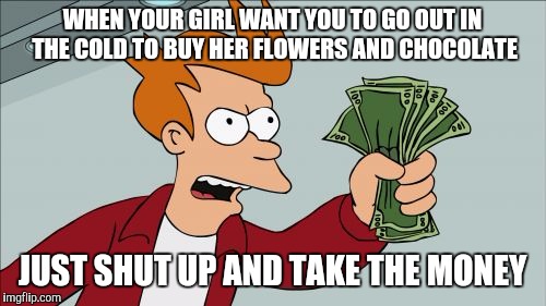 Shut Up And Take My Money Fry Meme | WHEN YOUR GIRL WANT YOU TO GO OUT IN THE COLD TO BUY HER FLOWERS AND CHOCOLATE; JUST SHUT UP AND TAKE THE MONEY | image tagged in memes,shut up and take my money fry | made w/ Imgflip meme maker
