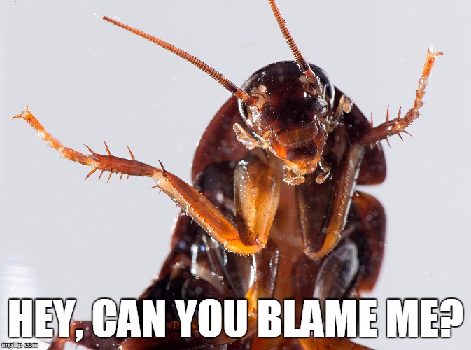 HEY, CAN YOU BLAME ME? | made w/ Imgflip meme maker