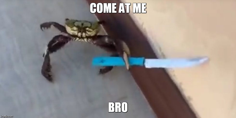 Killer crab | COME AT ME; BRO | image tagged in crab,thug | made w/ Imgflip meme maker