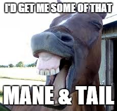 horse laugh | I'D GET ME SOME OF THAT MANE & TAIL | image tagged in horse laugh | made w/ Imgflip meme maker