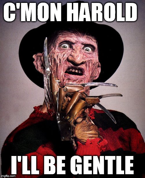 C'MON HAROLD I'LL BE GENTLE | image tagged in freddy | made w/ Imgflip meme maker