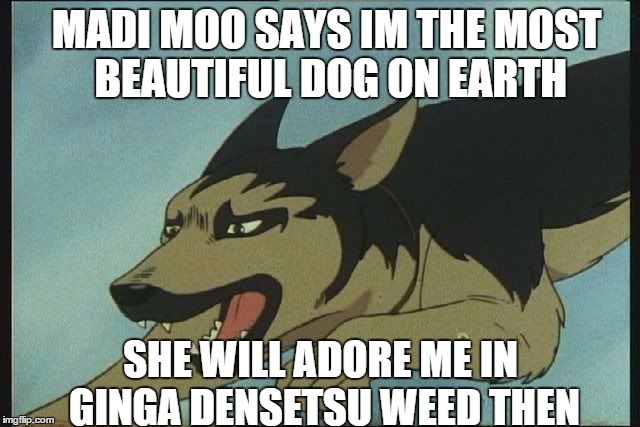 MADI MOO SAYS IM THE MOST BEAUTIFUL DOG ON EARTH; SHE WILL ADORE ME IN GINGA DENSETSU WEED THEN | image tagged in john meme | made w/ Imgflip meme maker