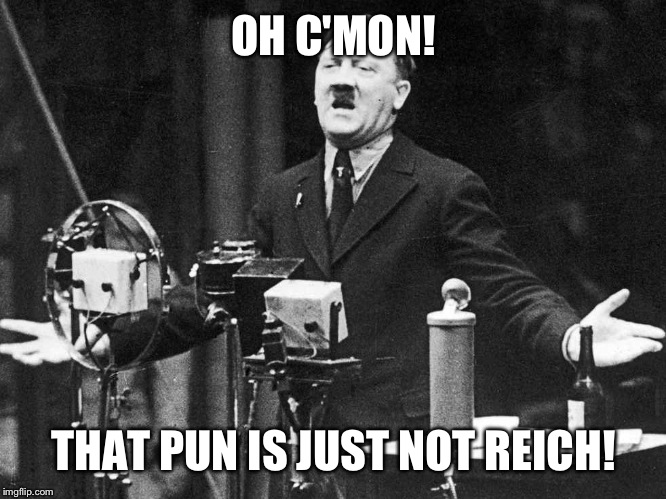 OH C'MON! THAT PUN IS JUST NOT REICH! | made w/ Imgflip meme maker