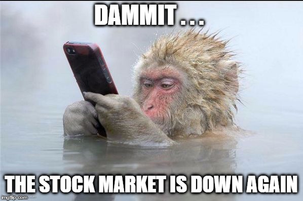 rhesus monkey iphone | DAMMIT . . . THE STOCK MARKET IS DOWN AGAIN | image tagged in rhesus monkey iphone | made w/ Imgflip meme maker