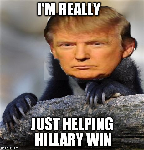 Confession Trump | I'M REALLY; JUST HELPING HILLARY WIN | image tagged in memes,confession bear,donald trump,hillary clinton | made w/ Imgflip meme maker