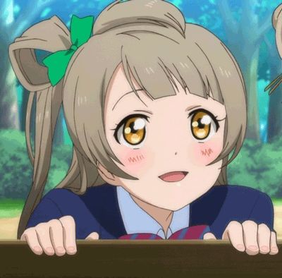 High Quality Kotori Kawaii Blank Meme Template