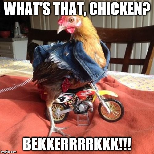 Chicken | WHAT'S THAT, CHICKEN? BEKKERRRRKKK!!! | image tagged in chicken,motorcycle,batman,meatloaf,evil knievel,harley davidson | made w/ Imgflip meme maker