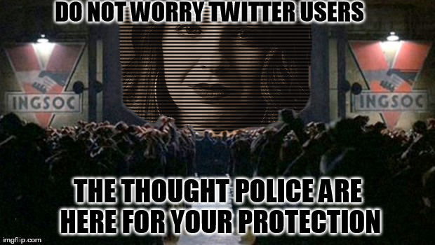 Big Sister is Watching...... | DO NOT WORRY TWITTER USERS; THE THOUGHT POLICE ARE HERE FOR YOUR PROTECTION | image tagged in 1984,anita sarkeesian,twitter | made w/ Imgflip meme maker