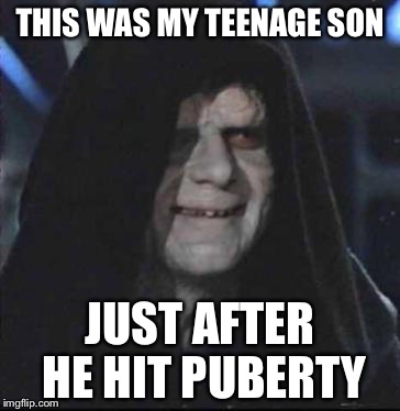 Sidious Error Meme | THIS WAS MY TEENAGE SON; JUST AFTER HE HIT PUBERTY | image tagged in memes,sidious error | made w/ Imgflip meme maker