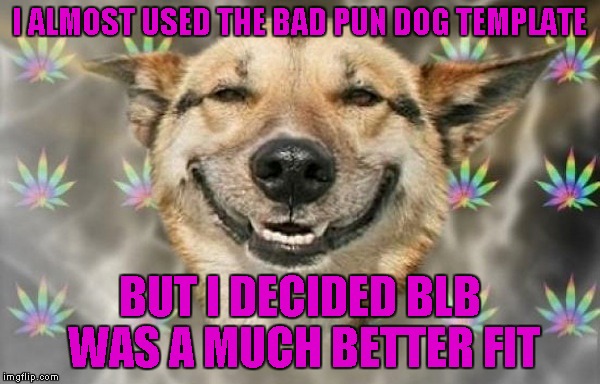 I ALMOST USED THE BAD PUN DOG TEMPLATE BUT I DECIDED BLB WAS A MUCH BETTER FIT | made w/ Imgflip meme maker
