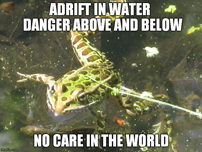 ADRIFT IN WATER  DANGER ABOVE AND BELOW; NO CARE IN THE WORLD | image tagged in camping | made w/ Imgflip meme maker