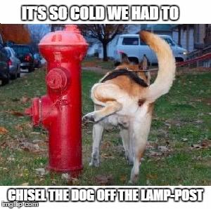 It's so cold | IT'S SO COLD WE HAD TO; CHISEL THE DOG OFF THE LAMP-POST | image tagged in it's so cold | made w/ Imgflip meme maker