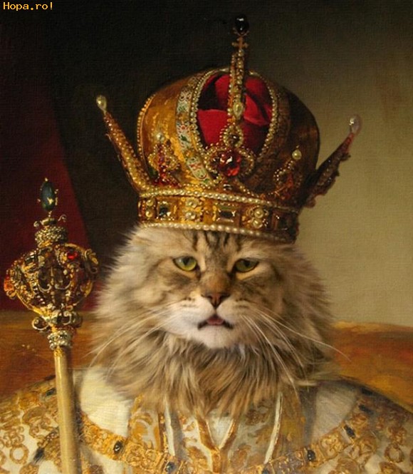 King cat Blank Meme Template