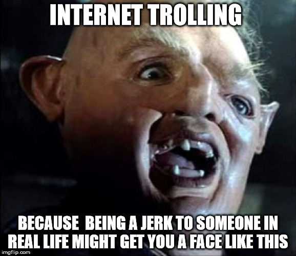 trolls  | INTERNET TROLLING; BECAUSE  BEING A JERK TO SOMEONE IN REAL LIFE MIGHT GET YOU A FACE LIKE THIS | image tagged in troll | made w/ Imgflip meme maker