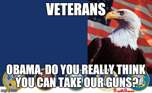 Veterans  | VETERANS; OBAMA, DO YOU REALLY THINK YOU CAN TAKE OUR GUNS? | image tagged in veterans | made w/ Imgflip meme maker