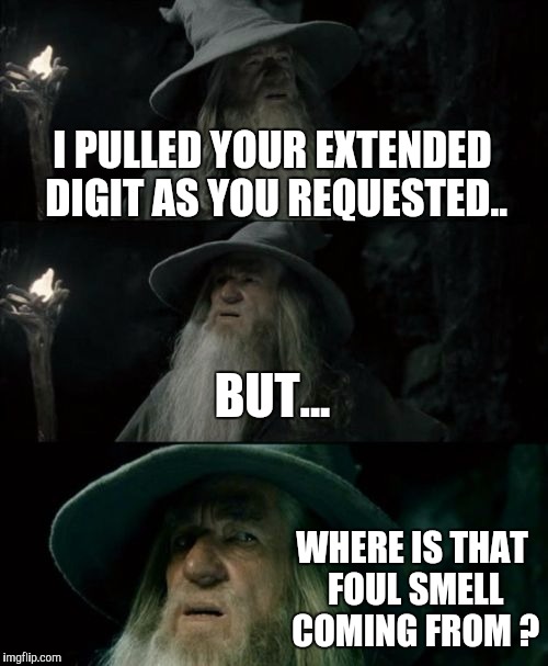 Confused Gandalf | I PULLED YOUR EXTENDED DIGIT AS YOU REQUESTED.. BUT... WHERE IS THAT FOUL SMELL COMING FROM ? | image tagged in memes,confused gandalf | made w/ Imgflip meme maker