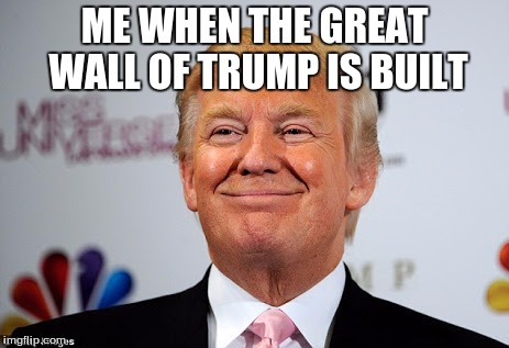 Donald trump approves | ME WHEN THE GREAT WALL OF TRUMP IS BUILT | image tagged in donald trump approves | made w/ Imgflip meme maker
