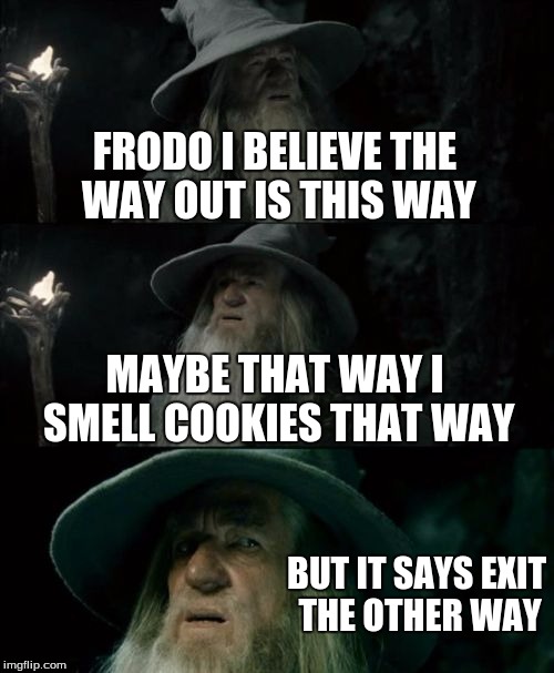 Confused Gandalf | FRODO I BELIEVE THE WAY OUT IS THIS WAY; MAYBE THAT WAY I SMELL COOKIES THAT WAY; BUT IT SAYS EXIT THE OTHER WAY | image tagged in memes,confused gandalf | made w/ Imgflip meme maker