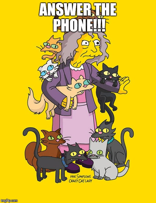 Crazy Cat Lady | ANSWER THE PHONE!!! | image tagged in crazy cat lady | made w/ Imgflip meme maker
