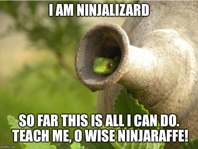 I AM NINJALIZARD SO FAR THIS IS ALL I CAN DO. TEACH ME, O WISE NINJARAFFE! | image tagged in lizard inside pot | made w/ Imgflip meme maker