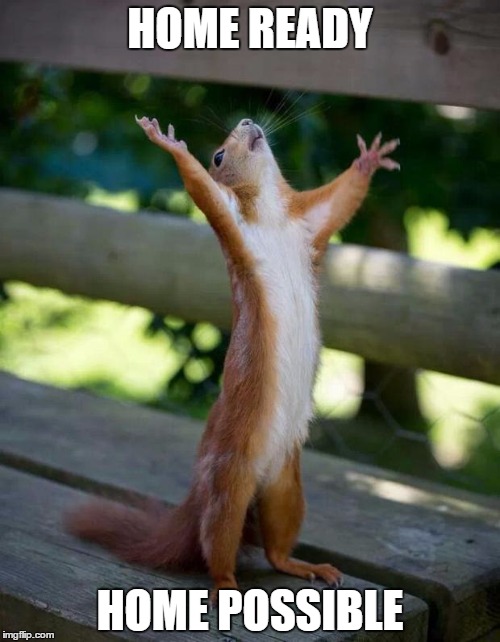 Happy Squirrel | HOME READY; HOME POSSIBLE | image tagged in happy squirrel | made w/ Imgflip meme maker