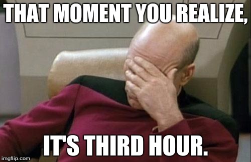 Captain Picard Facepalm | THAT MOMENT YOU REALIZE, IT'S THIRD HOUR. | image tagged in memes,captain picard facepalm | made w/ Imgflip meme maker