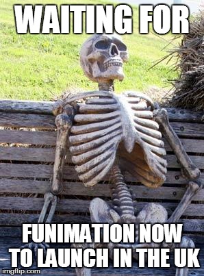 They said Feb, it's been 17 days already... | WAITING FOR; FUNIMATION NOW TO LAUNCH IN THE UK | image tagged in memes,waiting skeleton,anime | made w/ Imgflip meme maker