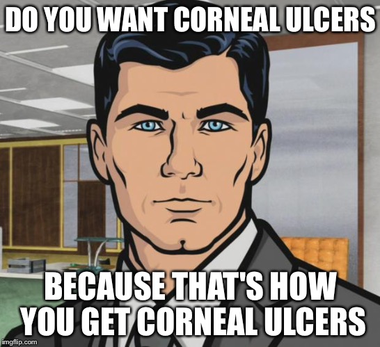 Archer Meme | DO YOU WANT CORNEAL ULCERS; BECAUSE THAT'S HOW YOU GET CORNEAL ULCERS | image tagged in memes,archer | made w/ Imgflip meme maker