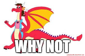 dragontaur | WHY NOT | image tagged in dragontaur | made w/ Imgflip meme maker