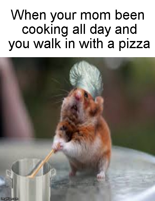 Cooking all day.... | When your mom been cooking all day and you walk in with a pizza | image tagged in funny memes,hamster,cooking,mom,pizza | made w/ Imgflip meme maker