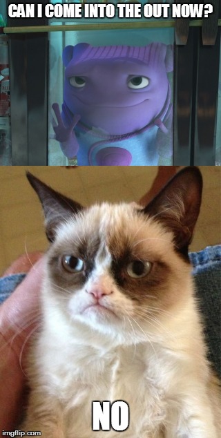 CAN I COME INTO THE OUT NOW? NO | image tagged in memes,grumpy cat,home | made w/ Imgflip meme maker