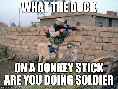 Military19 | WHAT THE DUCK; ON A DONKEY STICK ARE YOU DOING SOLDIER | image tagged in military19 | made w/ Imgflip meme maker