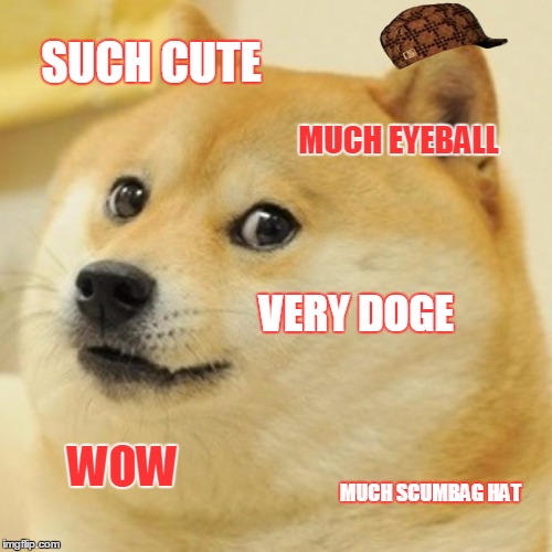 Doge | SUCH CUTE; MUCH EYEBALL; VERY DOGE; WOW; MUCH SCUMBAG HAT | image tagged in memes,doge,scumbag | made w/ Imgflip meme maker