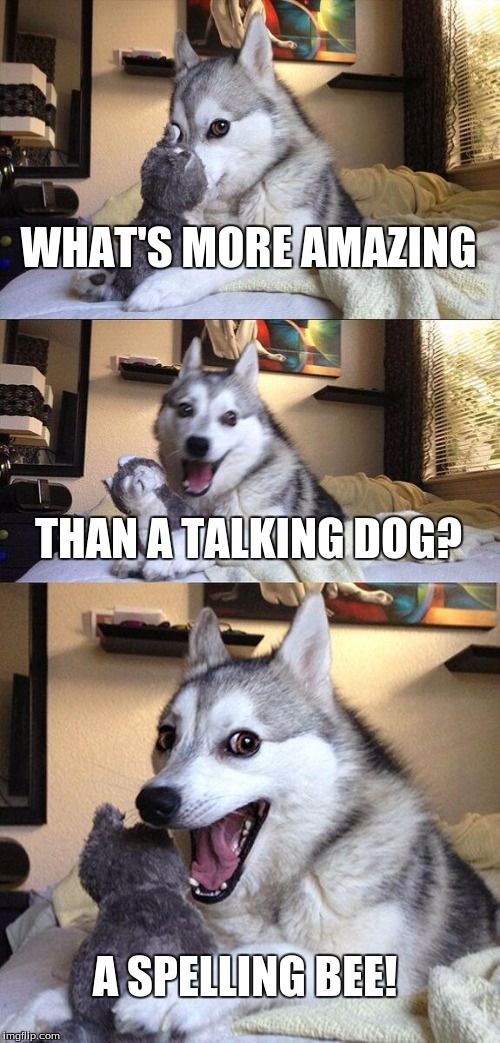 Bad Pun Dog | WHAT'S MORE AMAZING; THAN A TALKING DOG? A SPELLING BEE! | image tagged in memes,bad pun dog | made w/ Imgflip meme maker